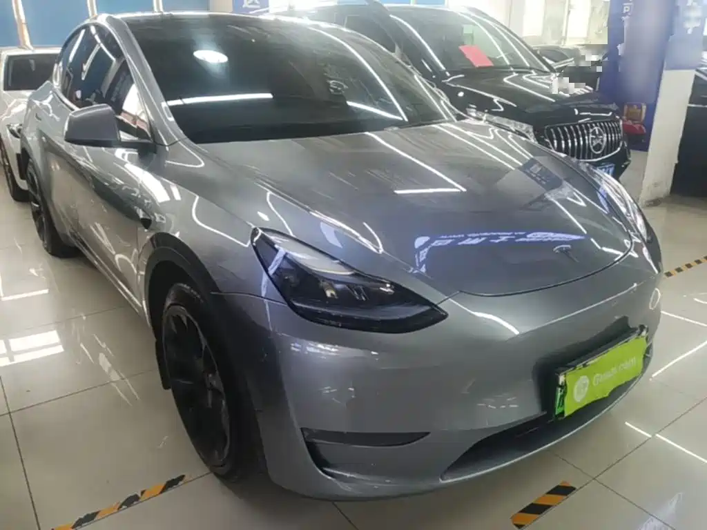 Tesla Model Y — миниатюра 4