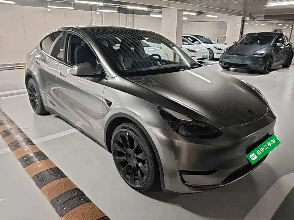 Tesla Model Y — миниатюра 4