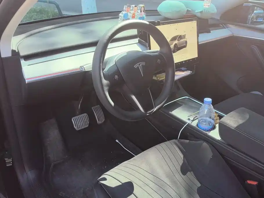 Tesla Model Y — миниатюра 12