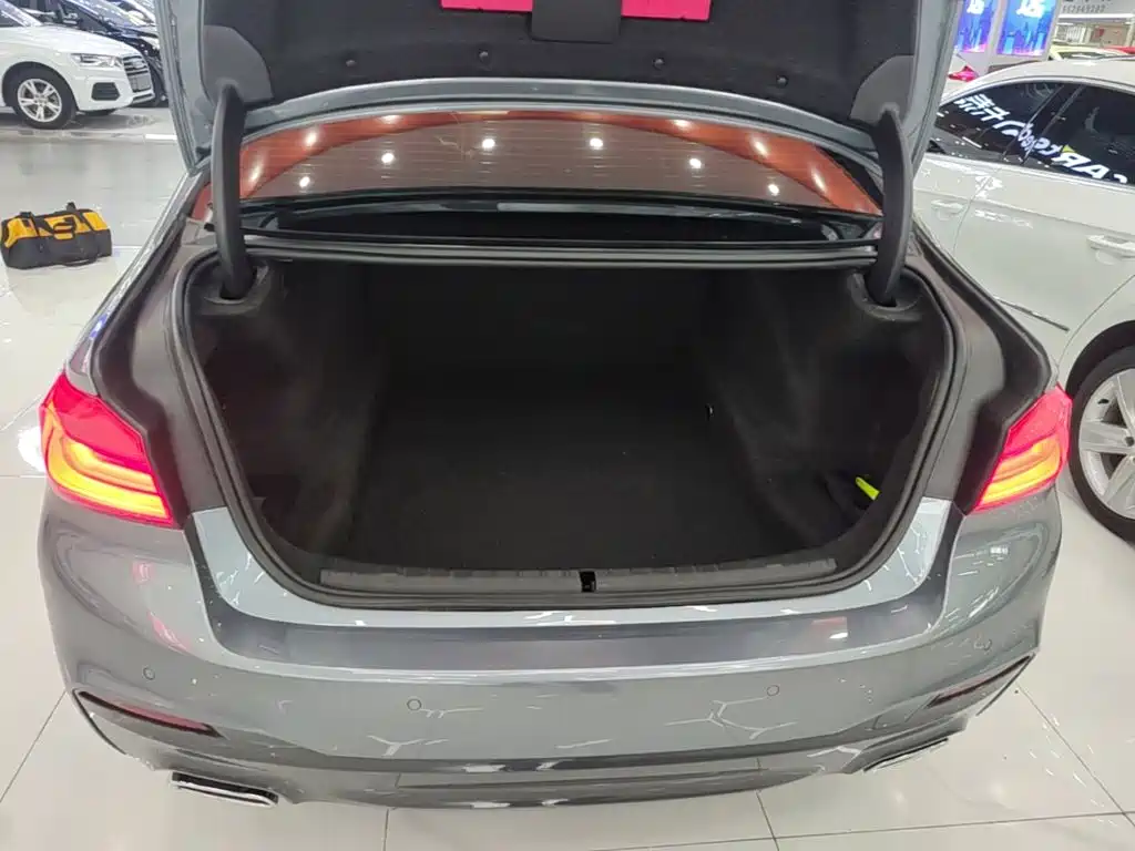 BMW 5 Series (Import) — миниатюра 19