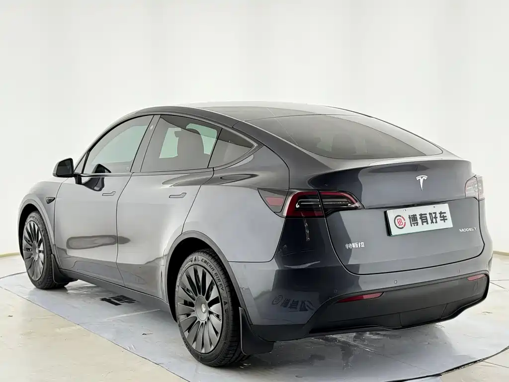Tesla Model Y — миниатюра 11