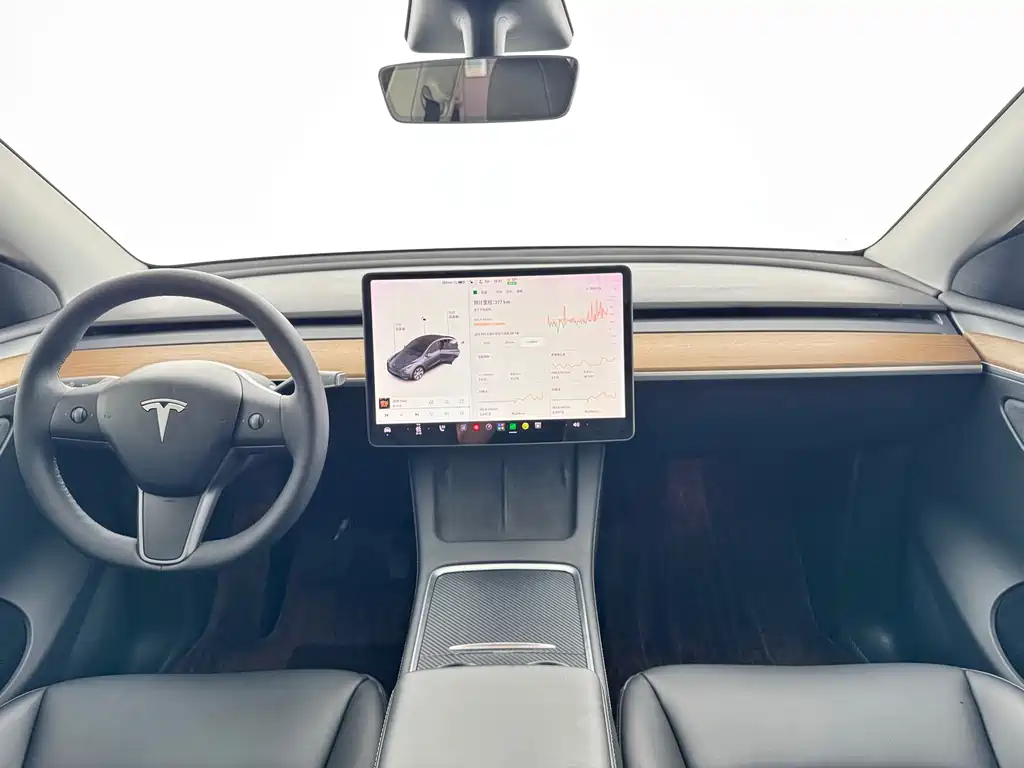Tesla Model Y — миниатюра 8