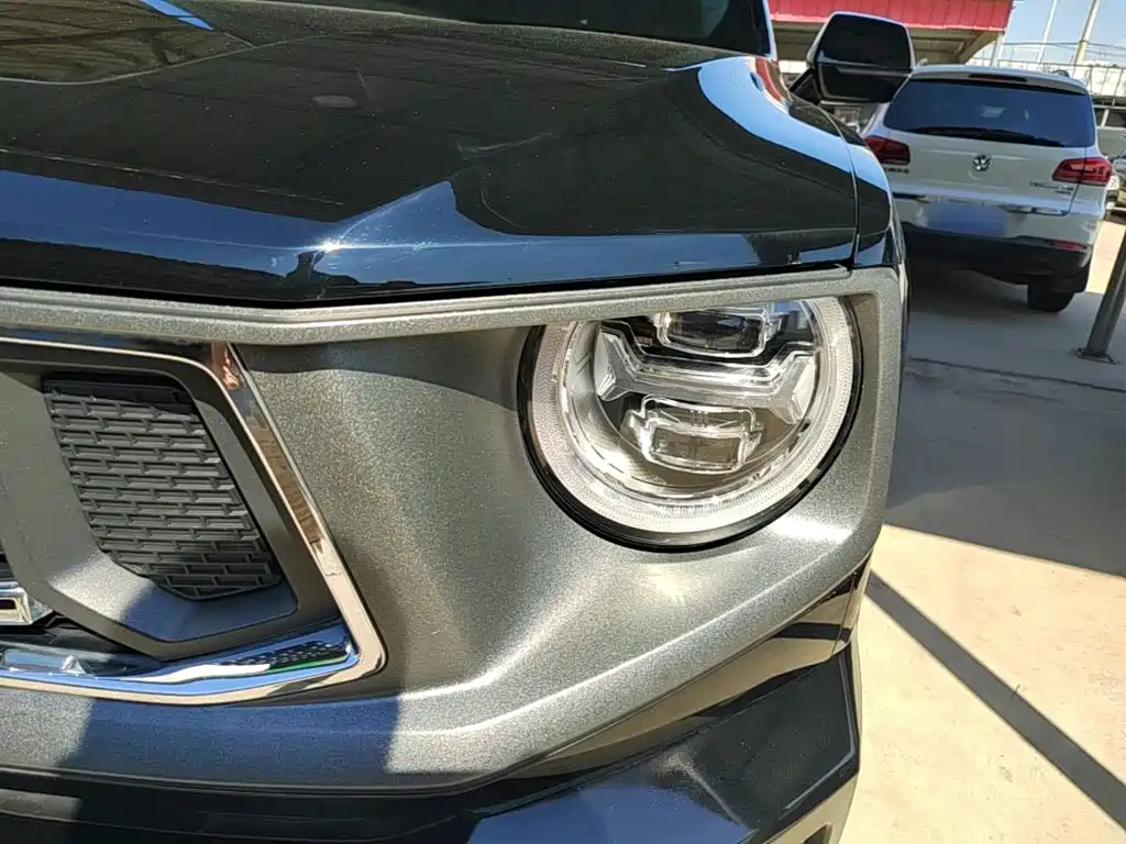 Haval Big Dog PLUS — миниатюра 24