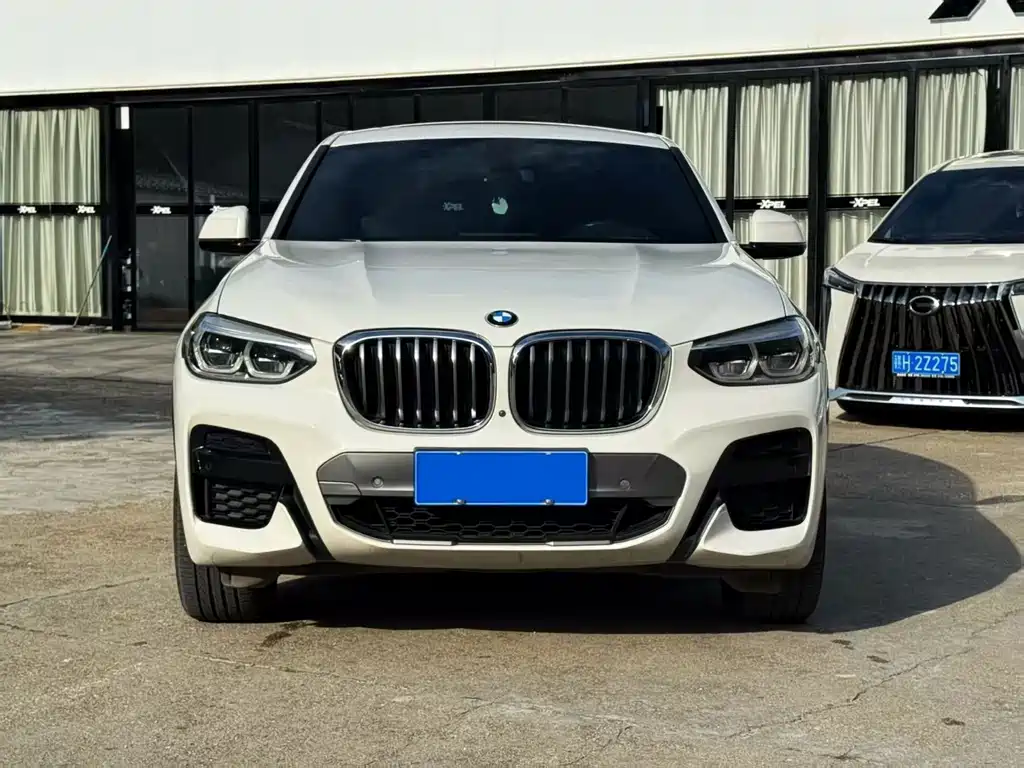 BMW X4 — миниатюра 2