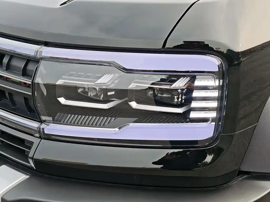 FANG CHENG BAO LEOPARD 5