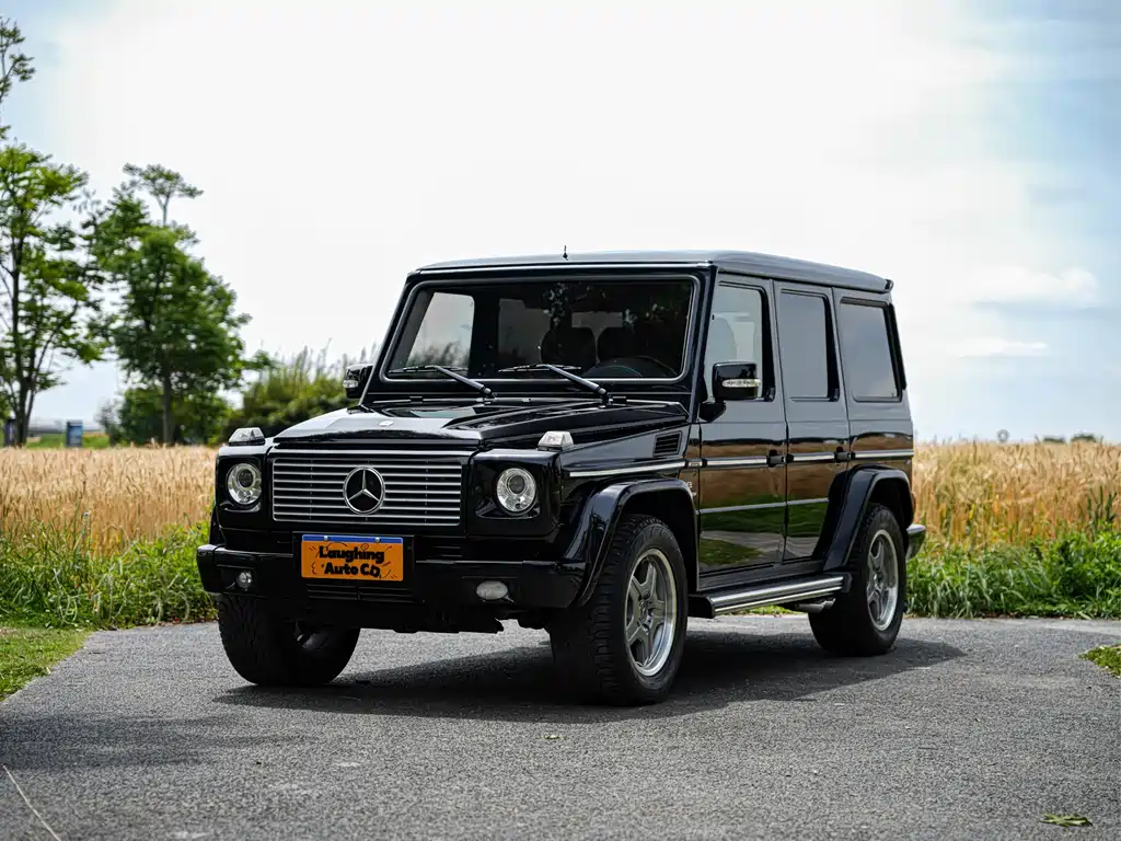 Mercedes-Benz G-Class AMG 2009
