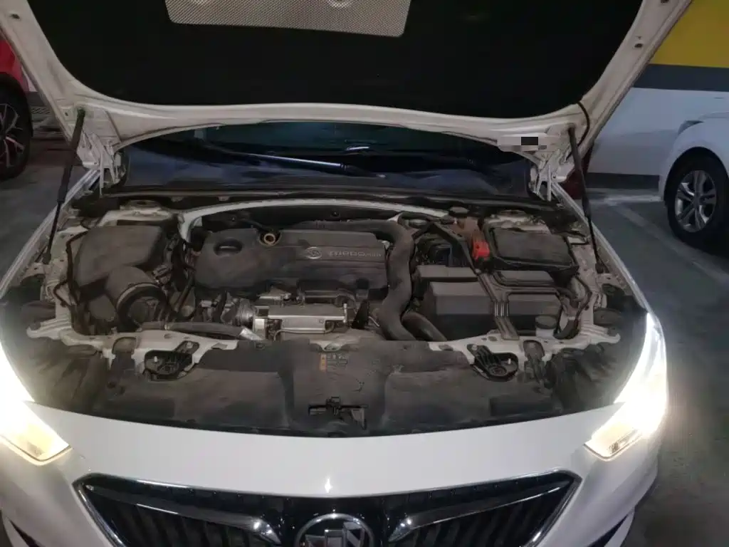 Buick Regal — миниатюра 11