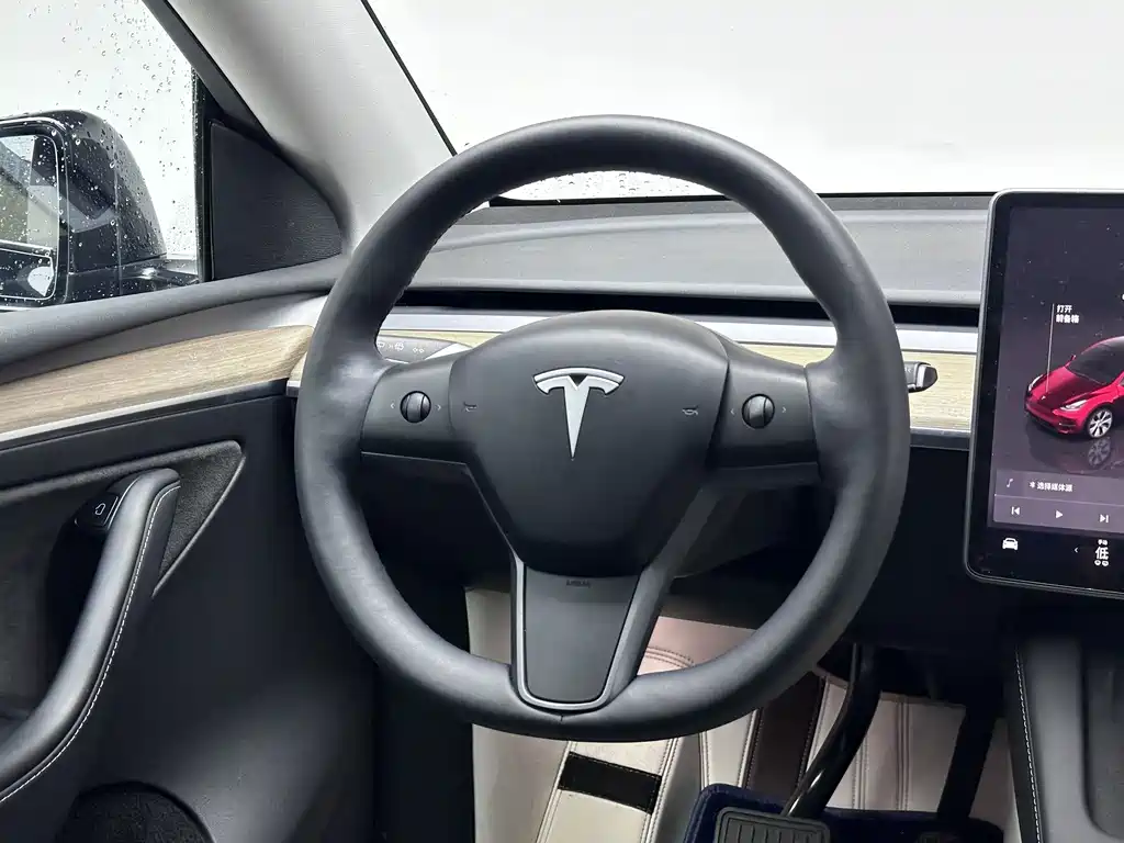 Tesla Model Y — миниатюра 13