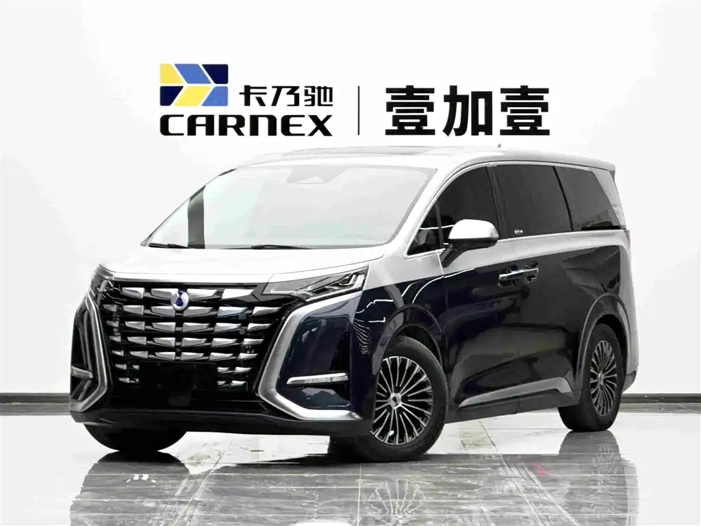 2023 Denza D9 - zdjęcie 1 z 20