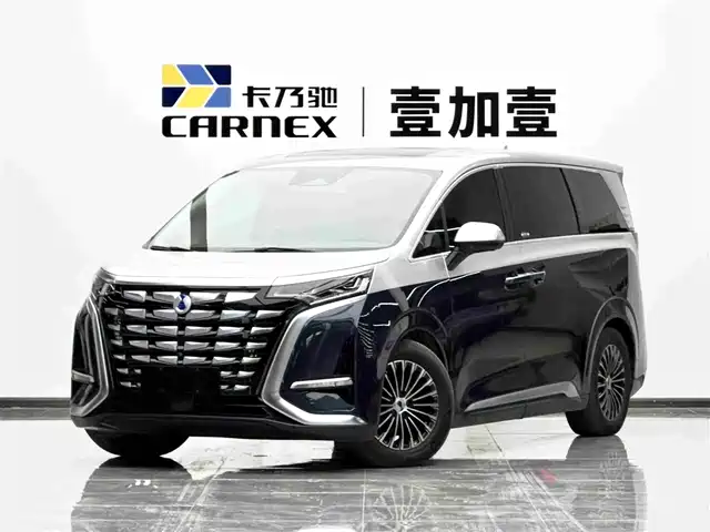 2023 Denza D9