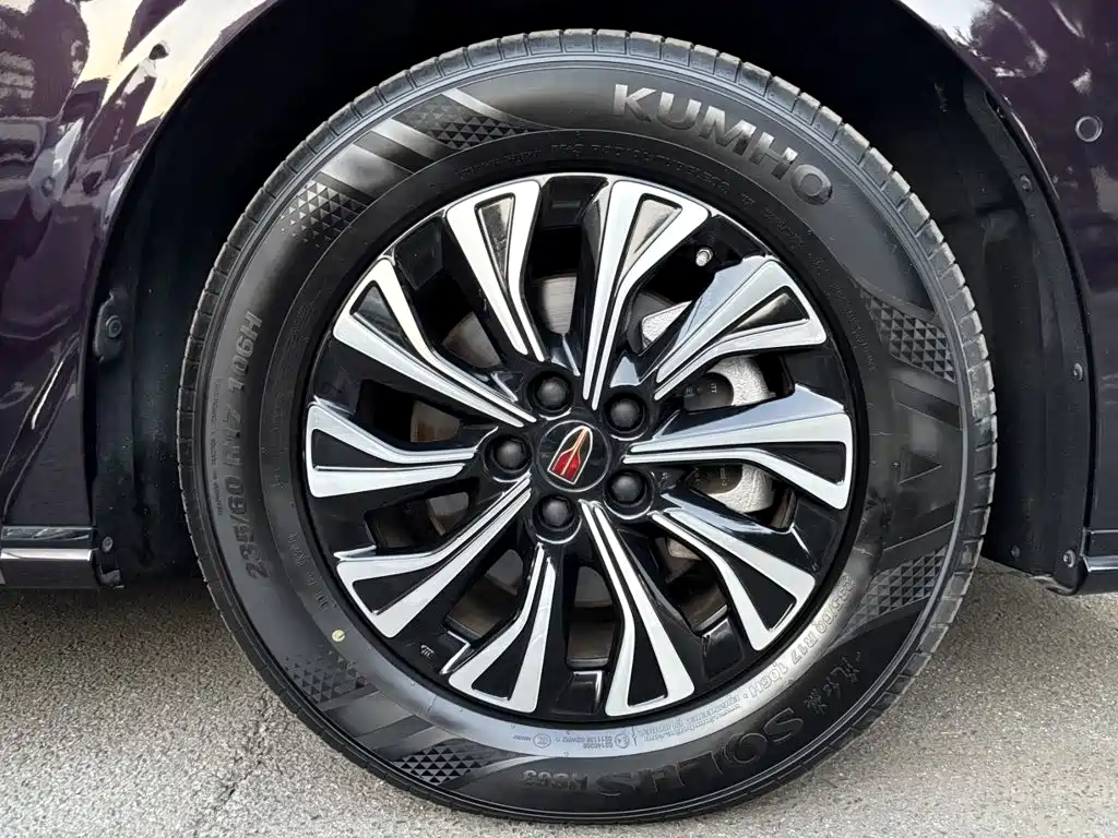 Hongqi Hongqi HQ9 — миниатюра 13