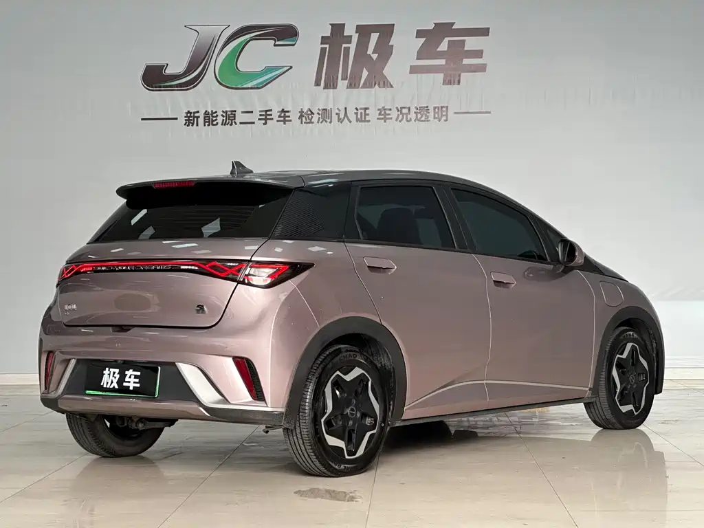 BYD Dolphin — миниатюра 6