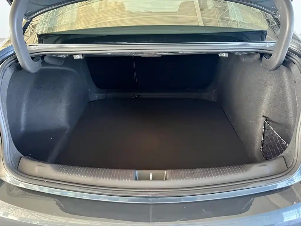 Buick Regal — миниатюра 15