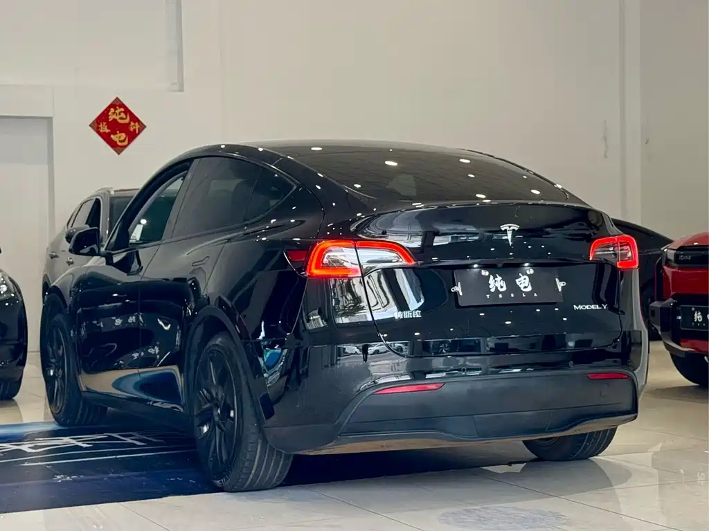 Tesla Model Y — миниатюра 14