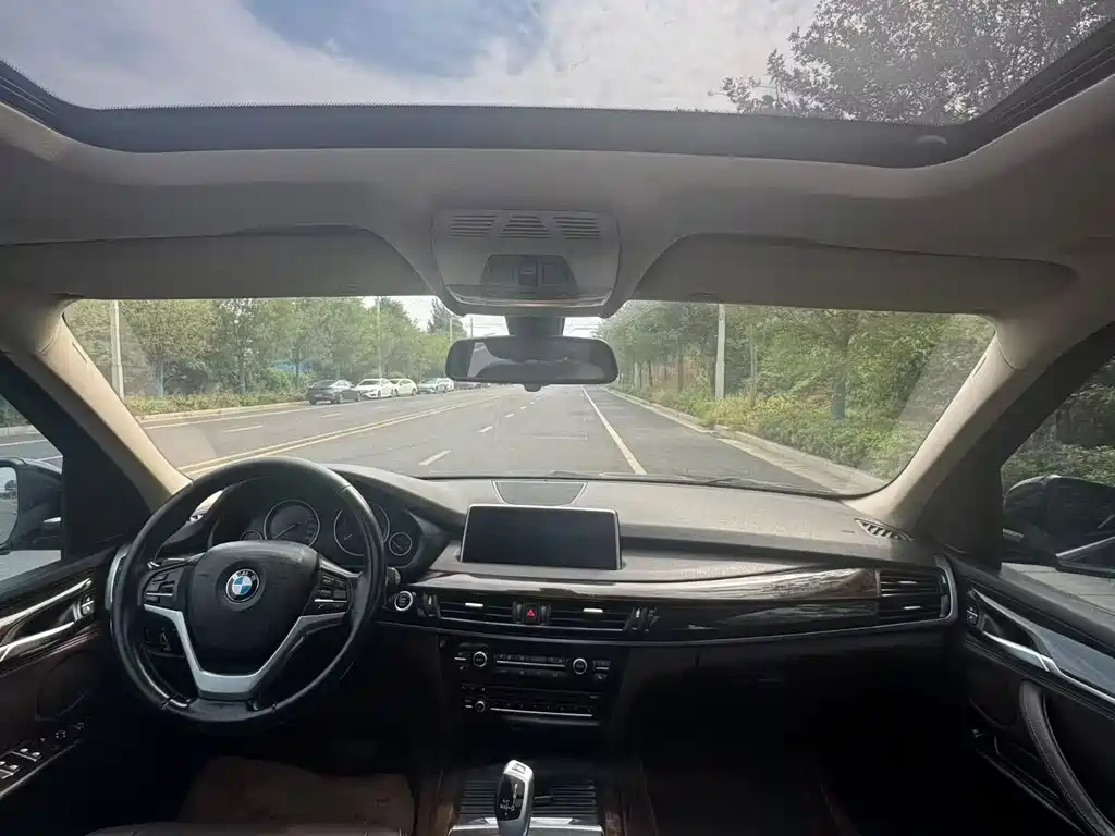 BMW X5 (Import) — миниатюра 5