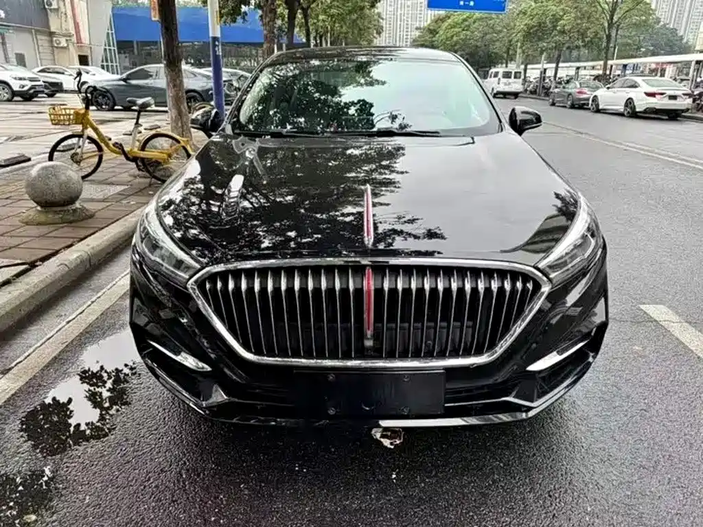 Hongqi Hongqi H5 — миниатюра 2