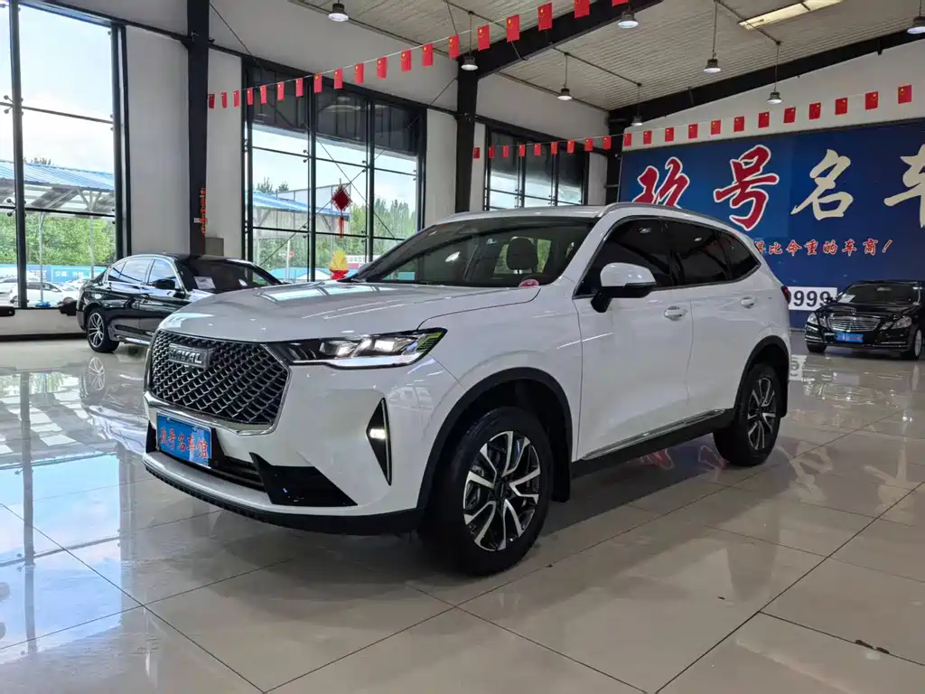 Haval H6 — миниатюра 3
