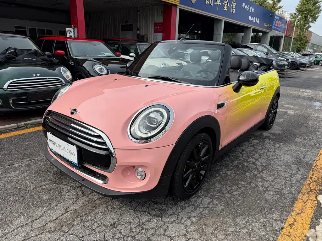 Mini Mini 2019