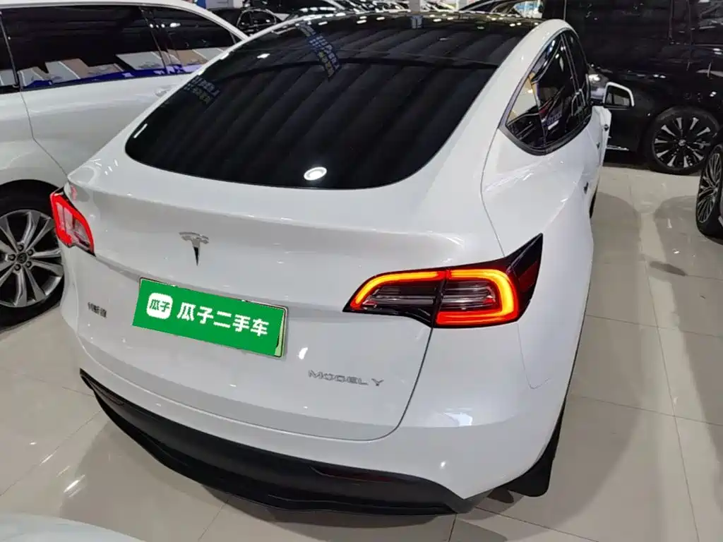 Tesla Model Y — миниатюра 4