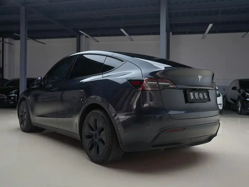 Tesla Model Y — миниатюра 4