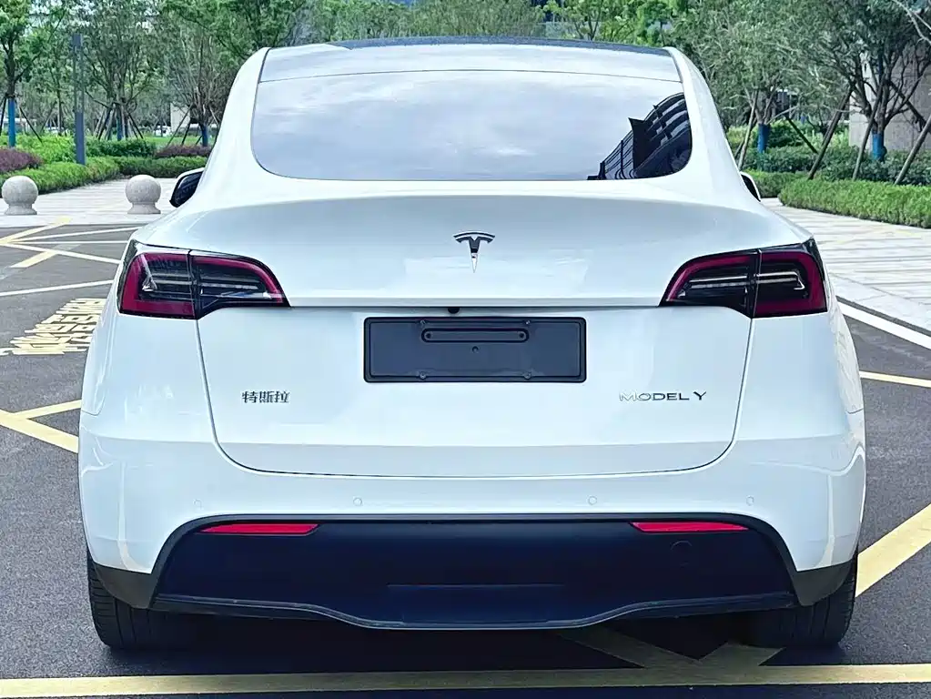 Tesla Model Y — миниатюра 10