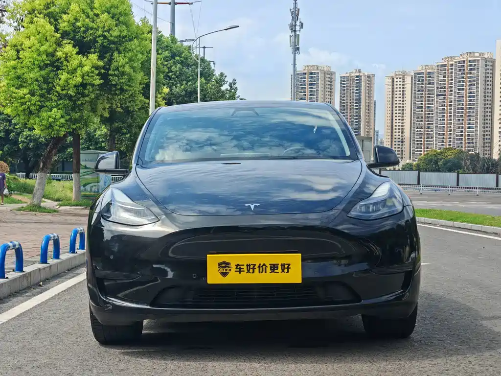 Tesla Model Y — миниатюра 2