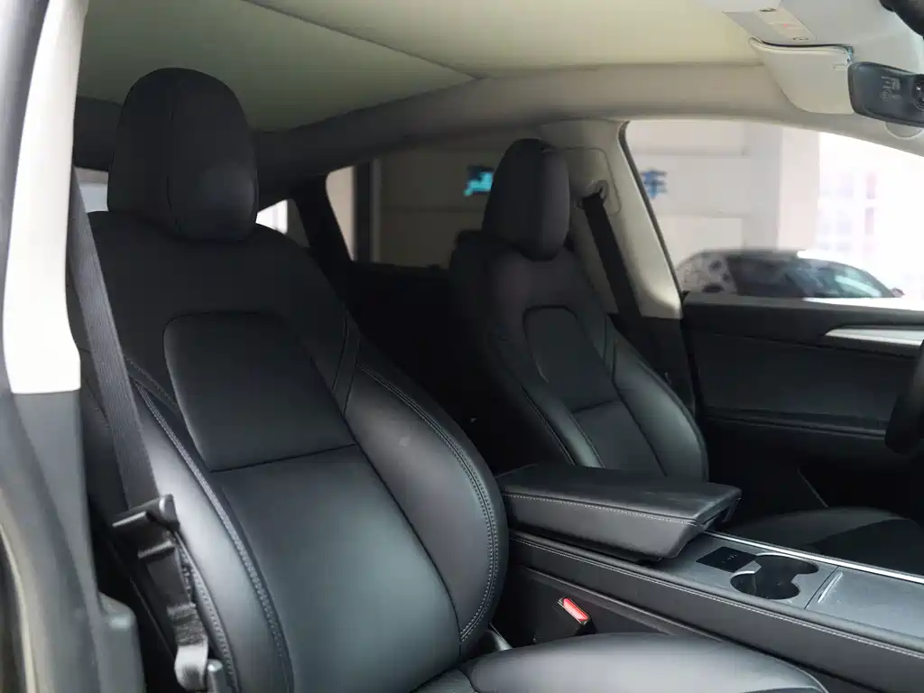 Tesla Model Y — миниатюра 13