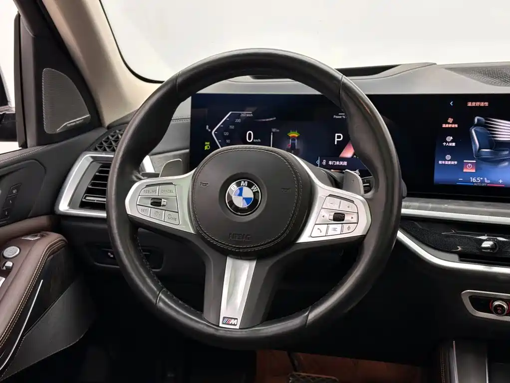 BMW X5 — миниатюра 12