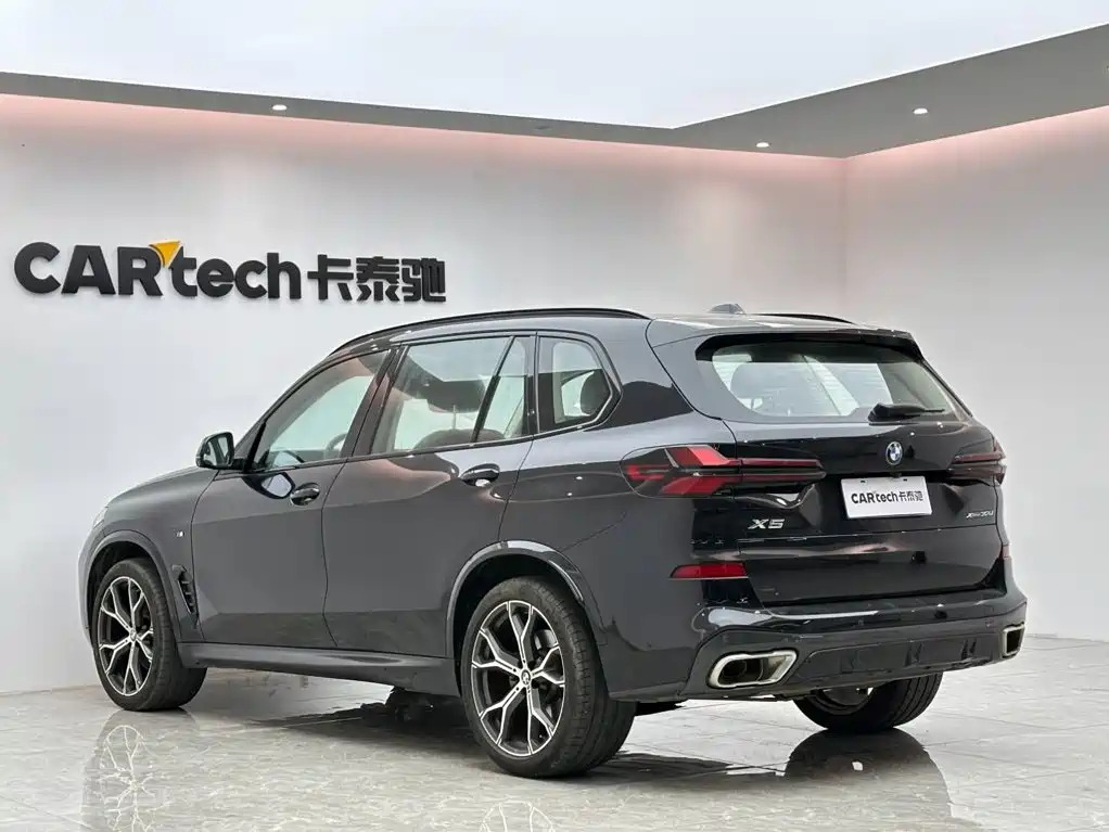 BMW X5 — миниатюра 3