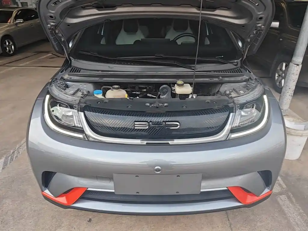 BYD Dolphin — миниатюра 20