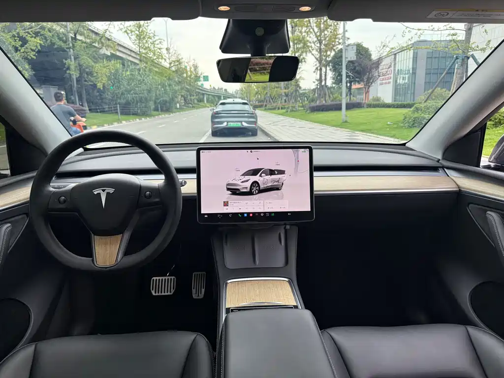 Tesla Model Y — миниатюра 4