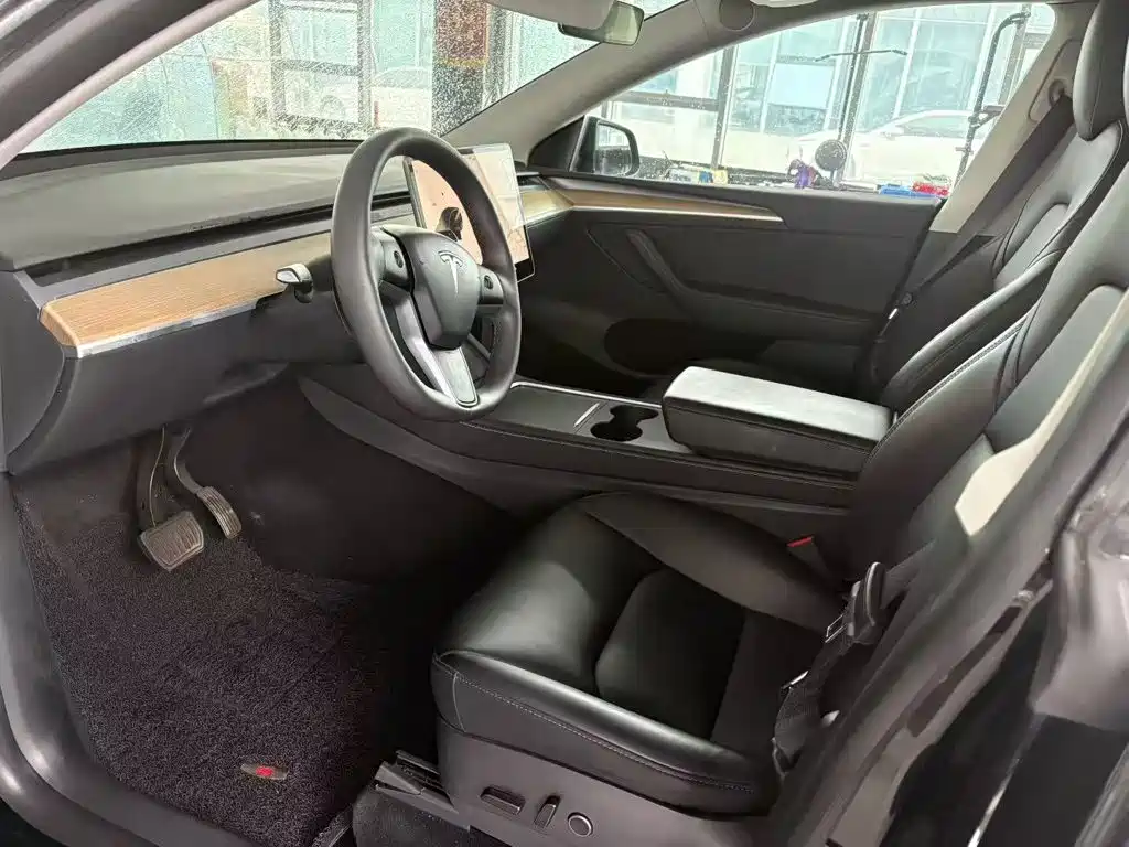 Tesla Model Y — миниатюра 4