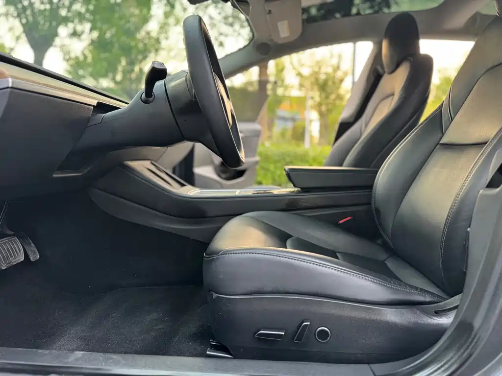 Tesla Model 3 — миниатюра 4
