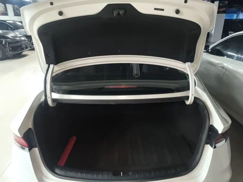 Hyundai Fista — миниатюра 19