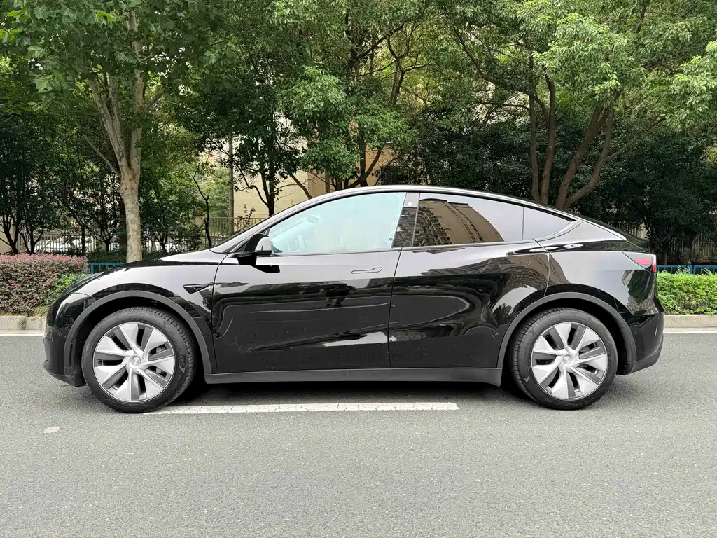 Tesla Model Y — миниатюра 5