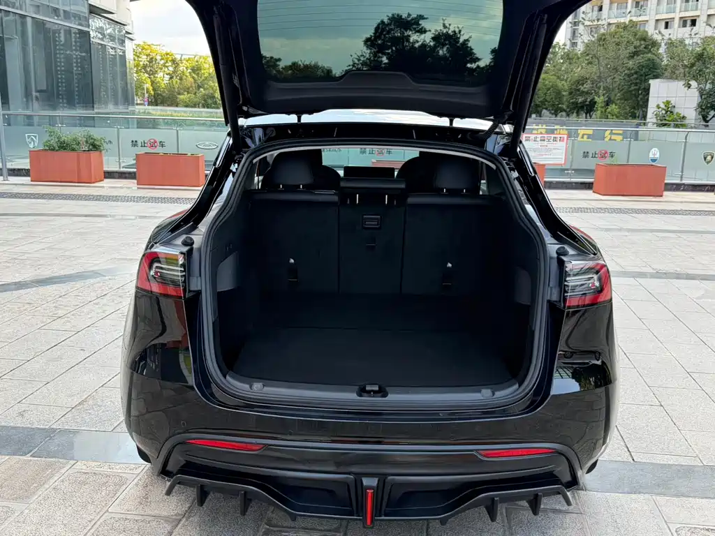Tesla Model Y — миниатюра 11