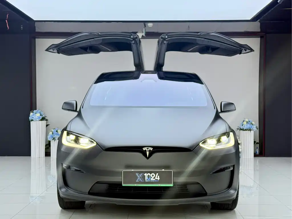 Tesla Model X — миниатюра 2