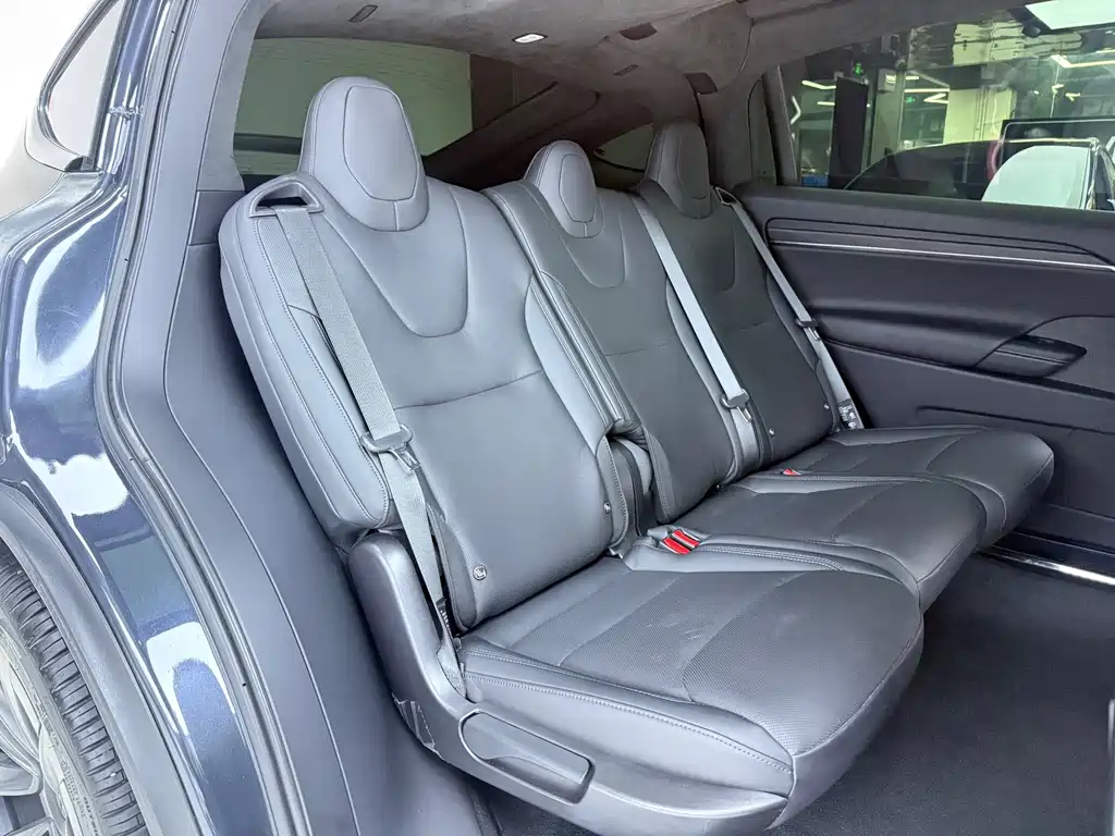 Tesla Model X — миниатюра 13