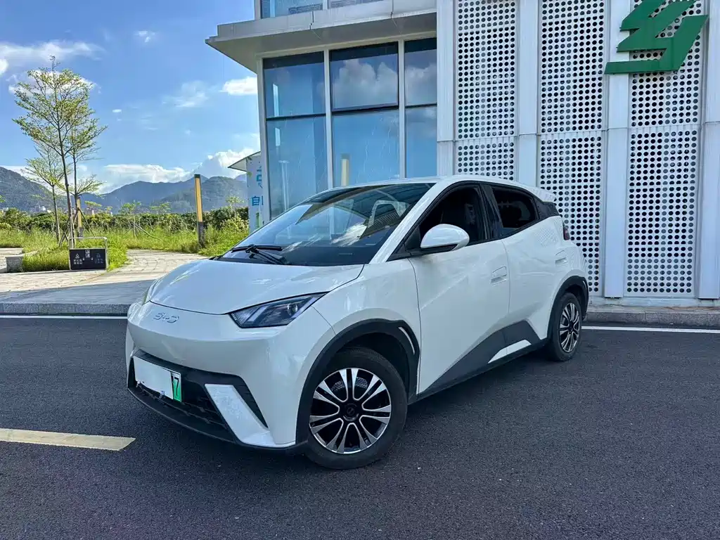 BYD Seagull