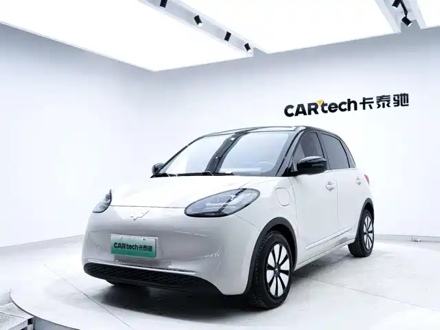 WULING WULING BINGGUO 2025