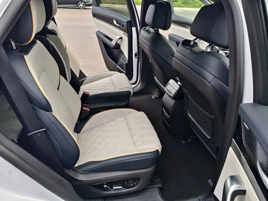 BYD Tang New Energy DM-p Champion Edition 215KM 4WD Premium Type, фото 9