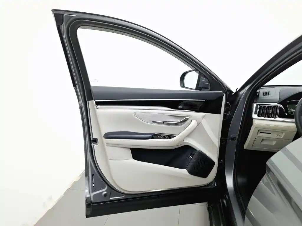 BYD PLUS New Energy — миниатюра 8