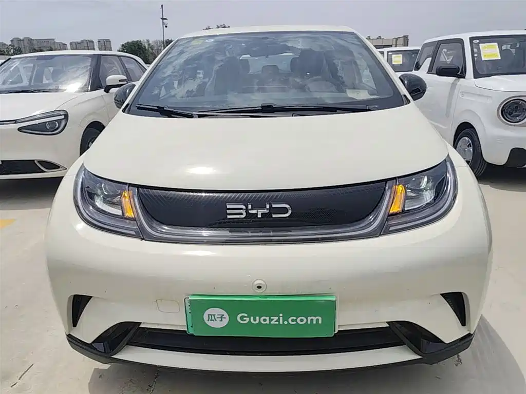 BYD Dolphin 2025 420km Freedom