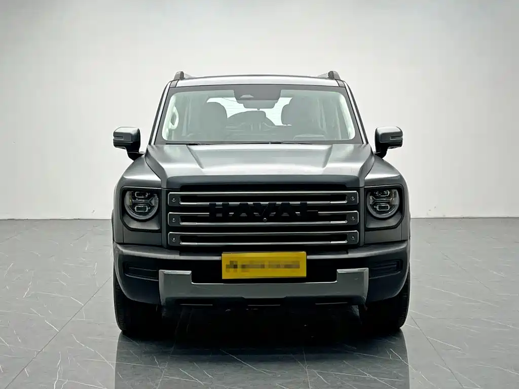 Haval Menglong New Energy — миниатюра 2