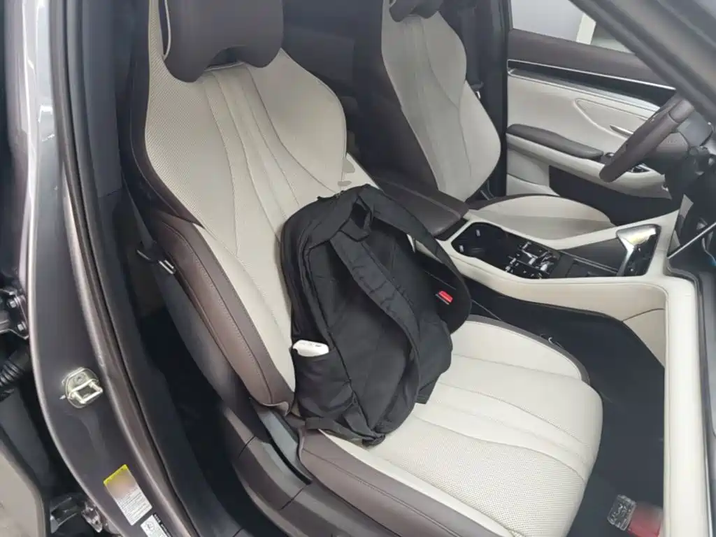 BYD PLUS New Energy — миниатюра 25