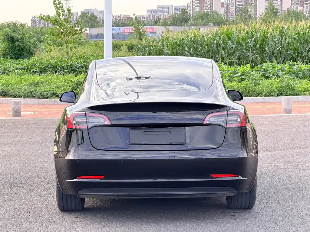 Tesla Model 3 — миниатюра 8