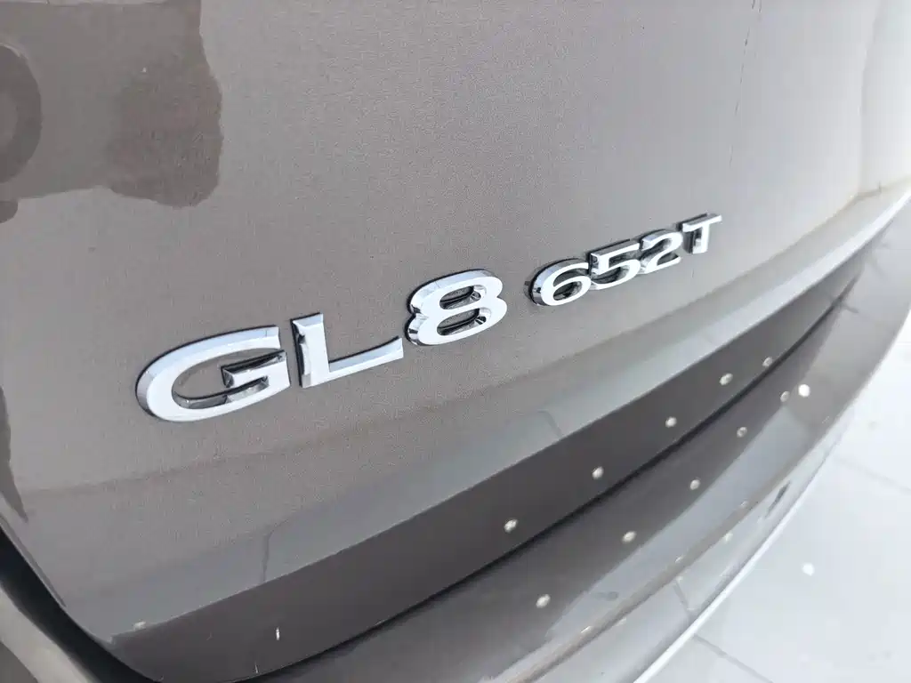 Buick GL8 — миниатюра 12