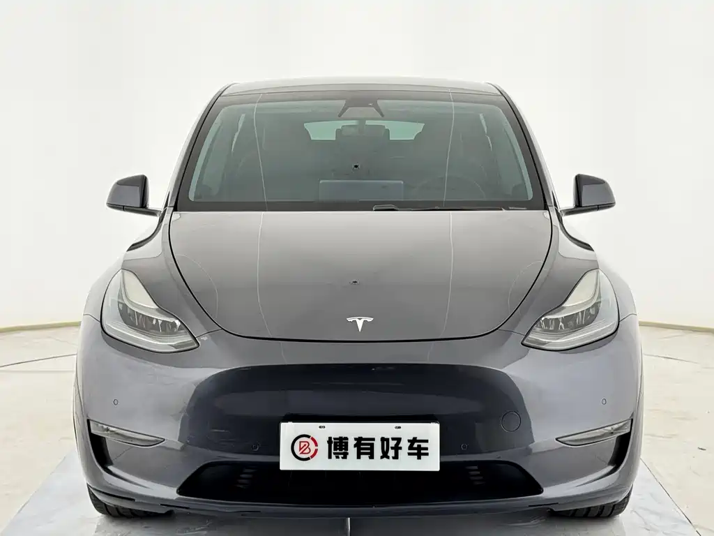 Tesla Model Y — миниатюра 2