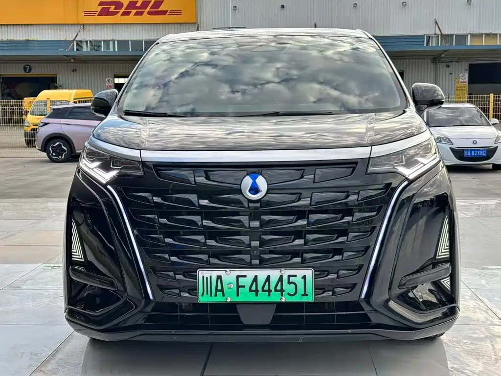 Denza Denza D9 — миниатюра 2