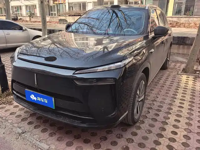 WEI PAI WEI BRAND BLUE MOUNTAIN 2024